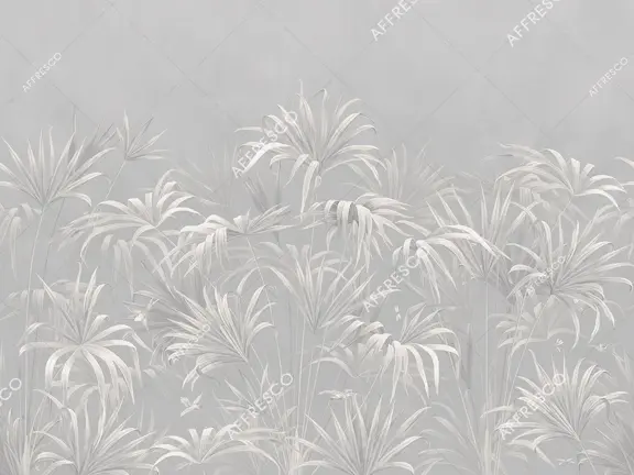 AF2081-COL5