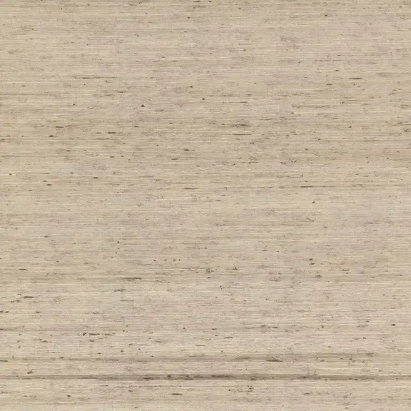 OL5553
