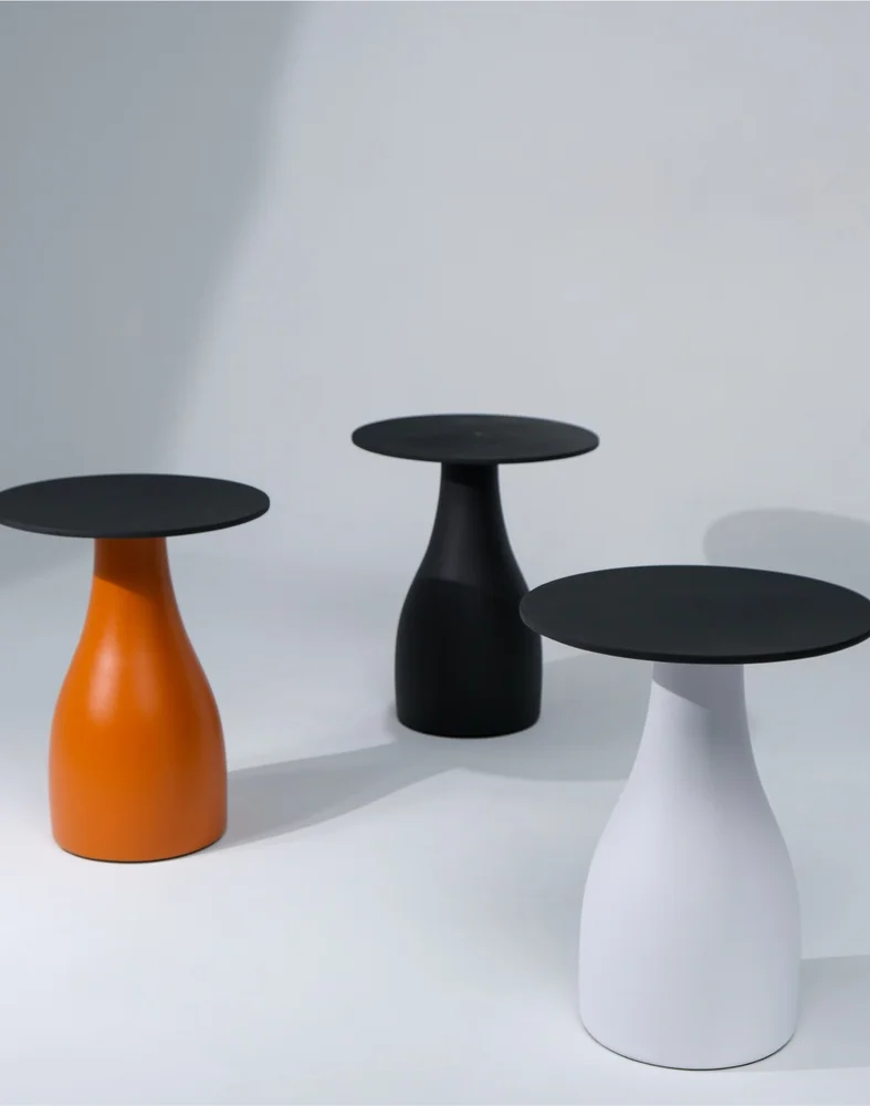 SvoyDesign / Bolet