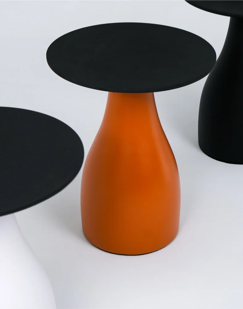 SvoyDesign / Bolet