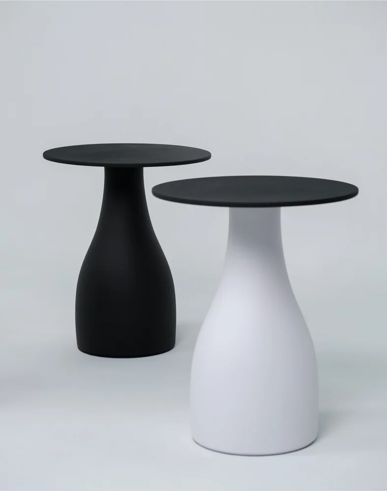 SvoyDesign / Bolet
