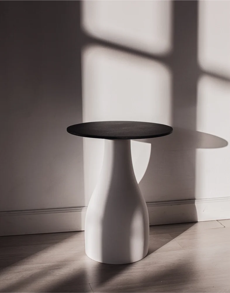 SvoyDesign / Bolet